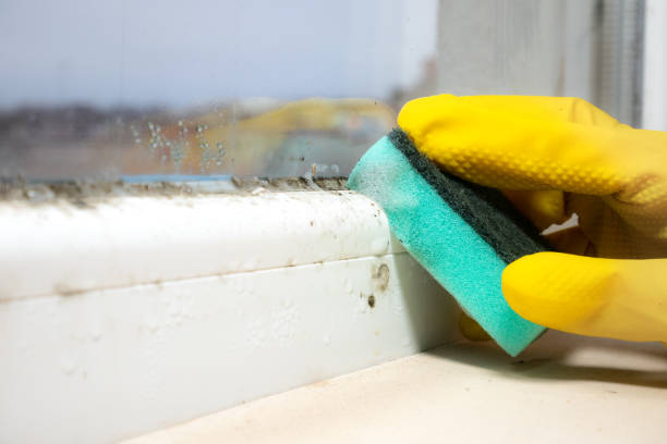 Best Mold Testing  in Cordova, NC